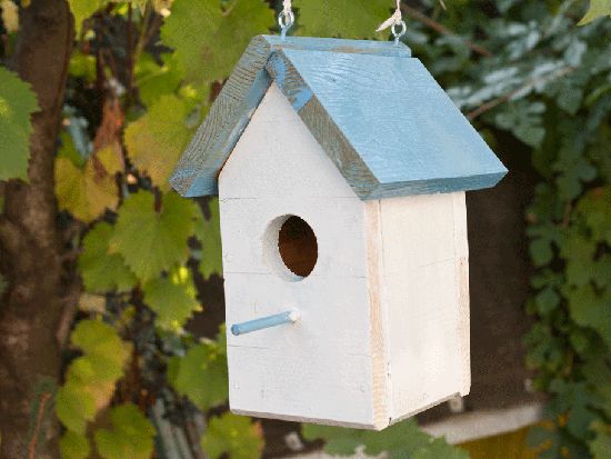 bird feeder for kids.png